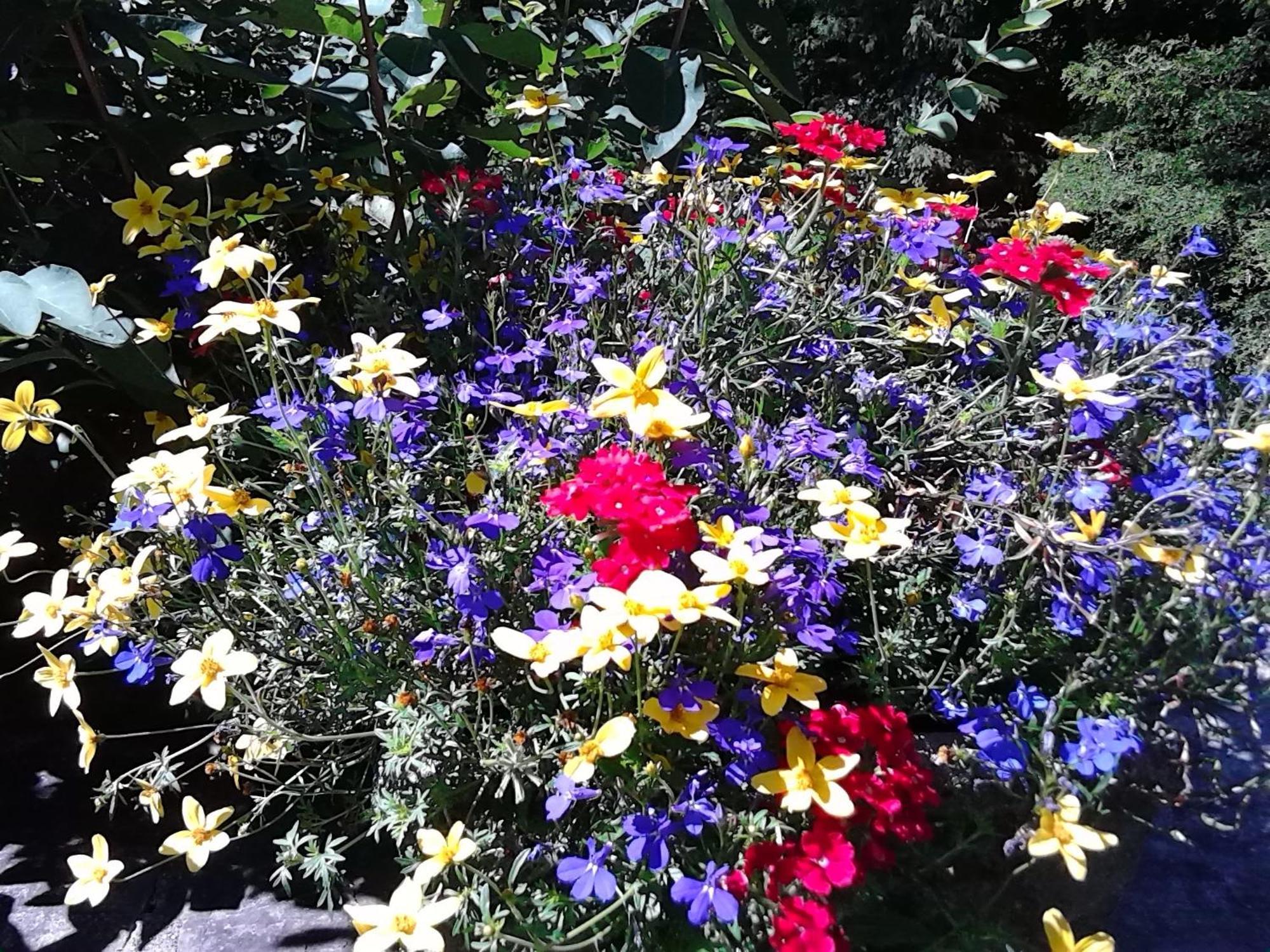 Whistler'S Inn เลนอกซ์ ภายนอก รูปภาพ