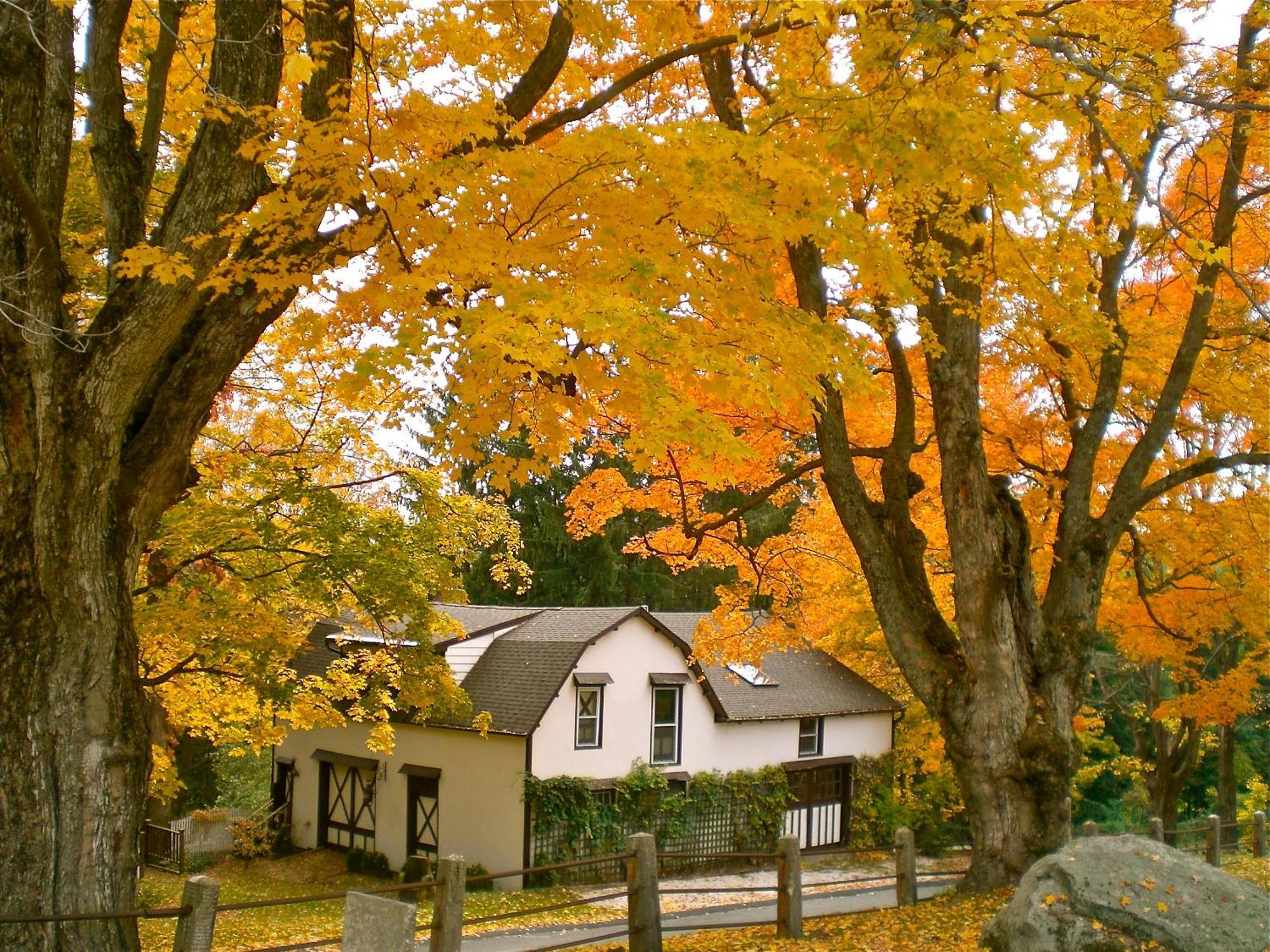 Whistler'S Inn เลนอกซ์ ภายนอก รูปภาพ